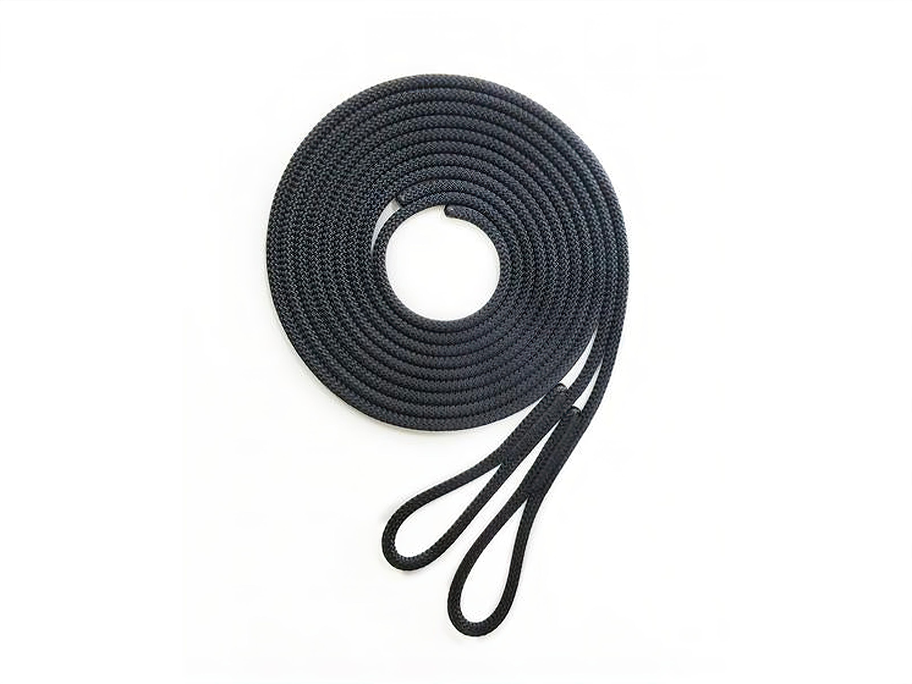 Balanced Body Ropes de remplacement Allegro 2