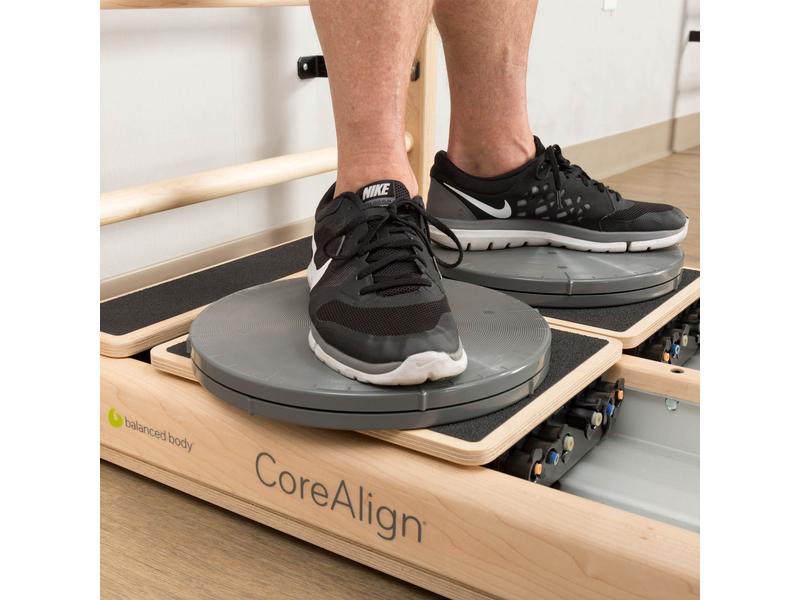 Balanced Body Precision Rotator Discs für CoreAlign® 23cm leichter Widerstand