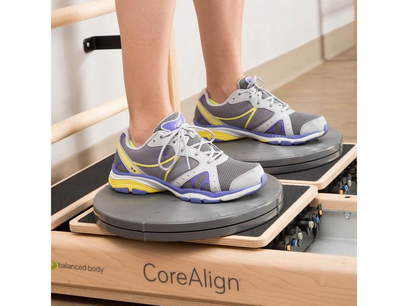 Balanced Body Precision Rotator Discs für CoreAlign® 23cm starker Widerstand