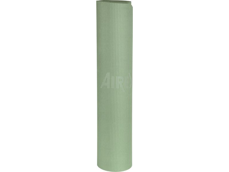 Airex TrExercise 140 Moss, Exercise Mat, for Pilates and Physical Therapy