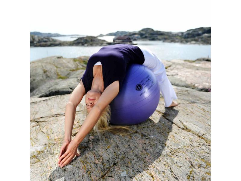 SISSEL Securemax Ball Ø 75 cm, bleu-violet