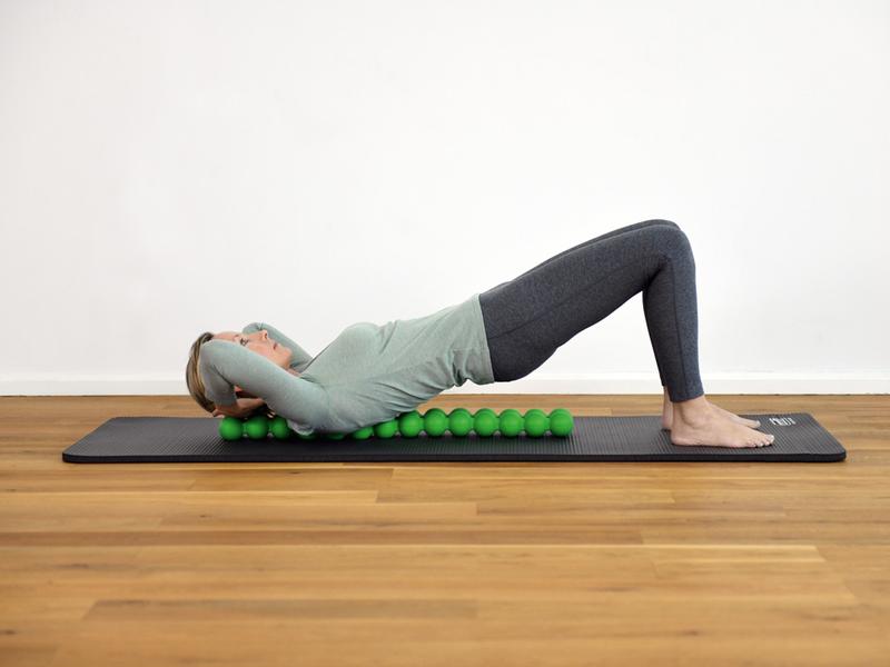 SISSEL Spinefitter vert