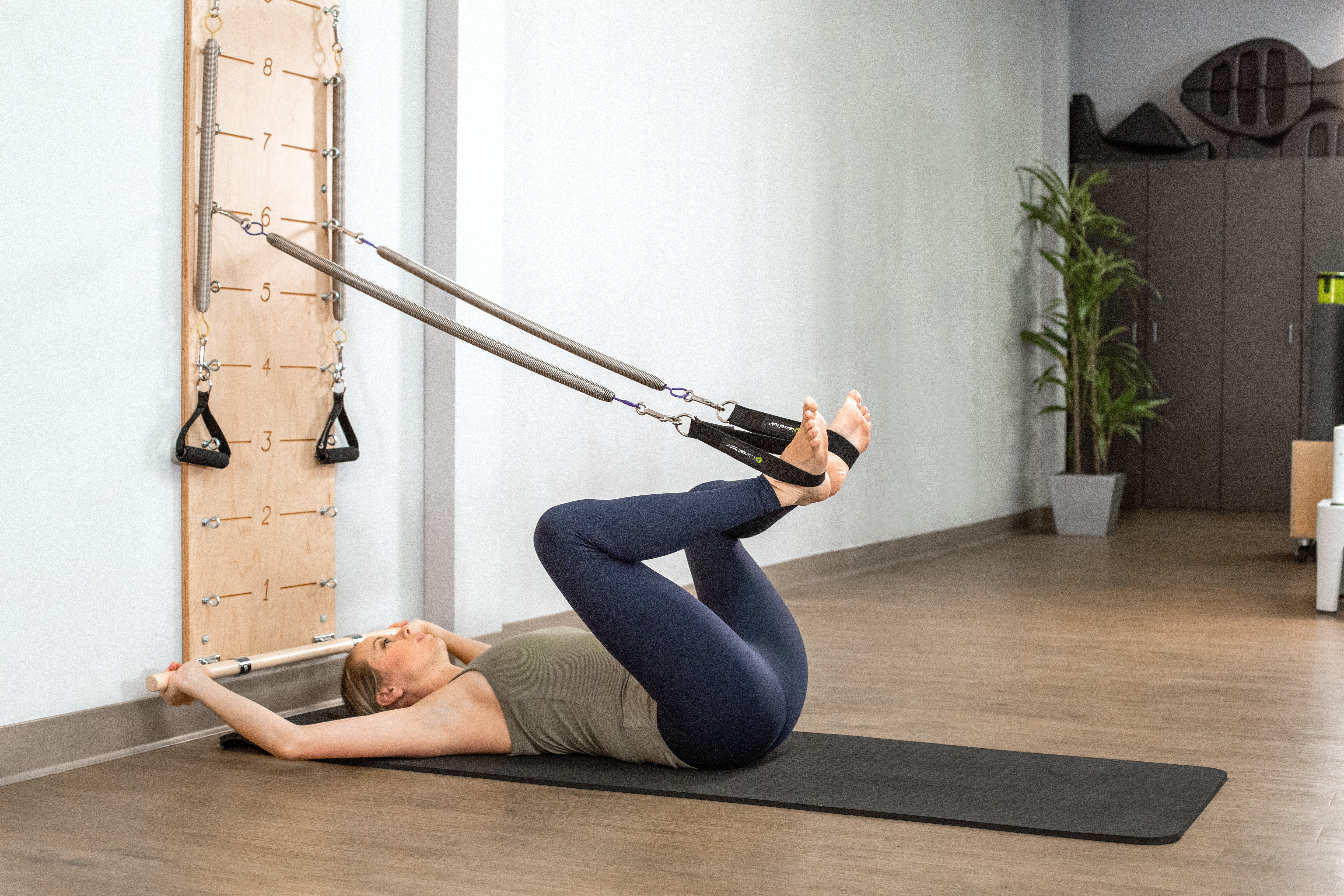 Balanced Body Springboard™