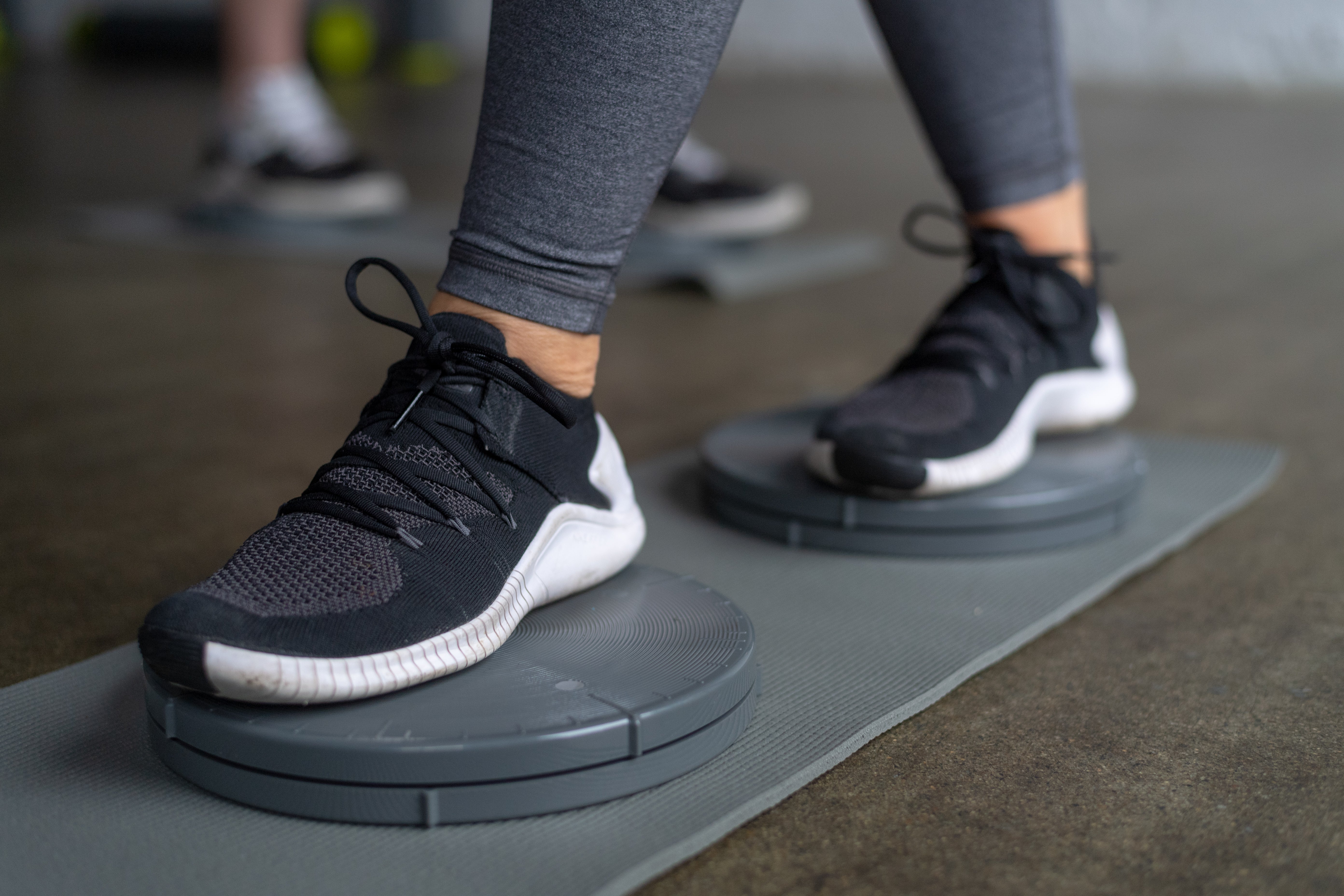 Precision rotator disc 4